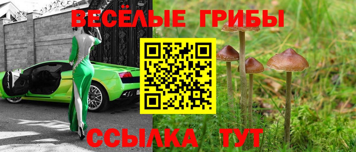 Псилоцибиновые грибы ЛСД  Вход с VPN  Луга 