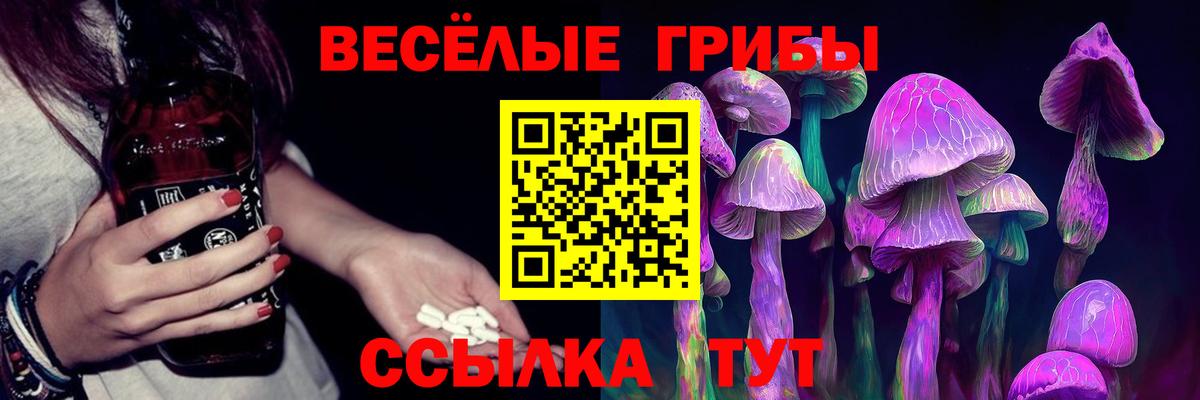 Галлюциногенные грибы прущие грибы Луга